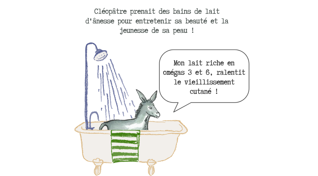 Le Lait d'Ânesse et ses bienfaits